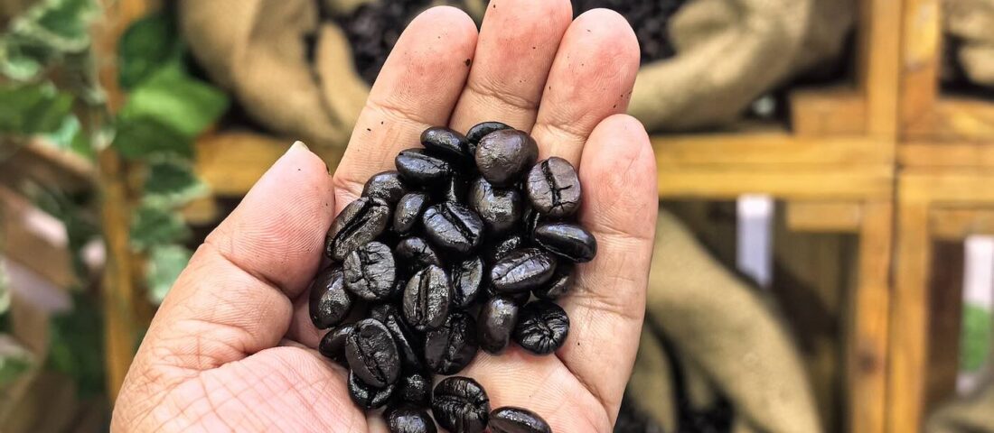 Coffee N’ Chill Fest Brews Up Coffee Experiences Across SM Malls in the East Metro