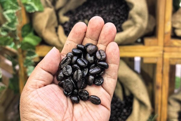 Coffee N’ Chill Fest Brews Up Coffee Experiences Across SM Malls in the East Metro
