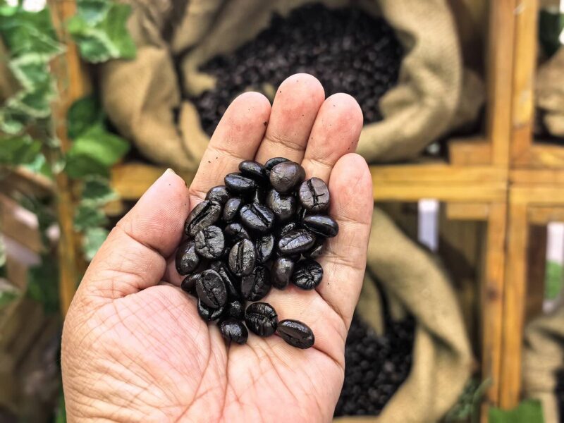 Coffee N’ Chill Fest Brews Up Coffee Experiences Across SM Malls in the East Metro